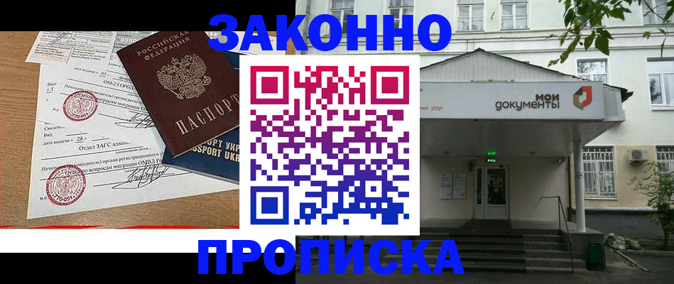 прописка в Курске